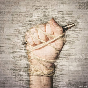 Press Freedom Cannot Be Threatened or Silenced