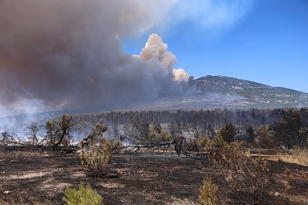 Fatal Copter Collision Overshadows Wildfire Battle as Criminal Probe Expands