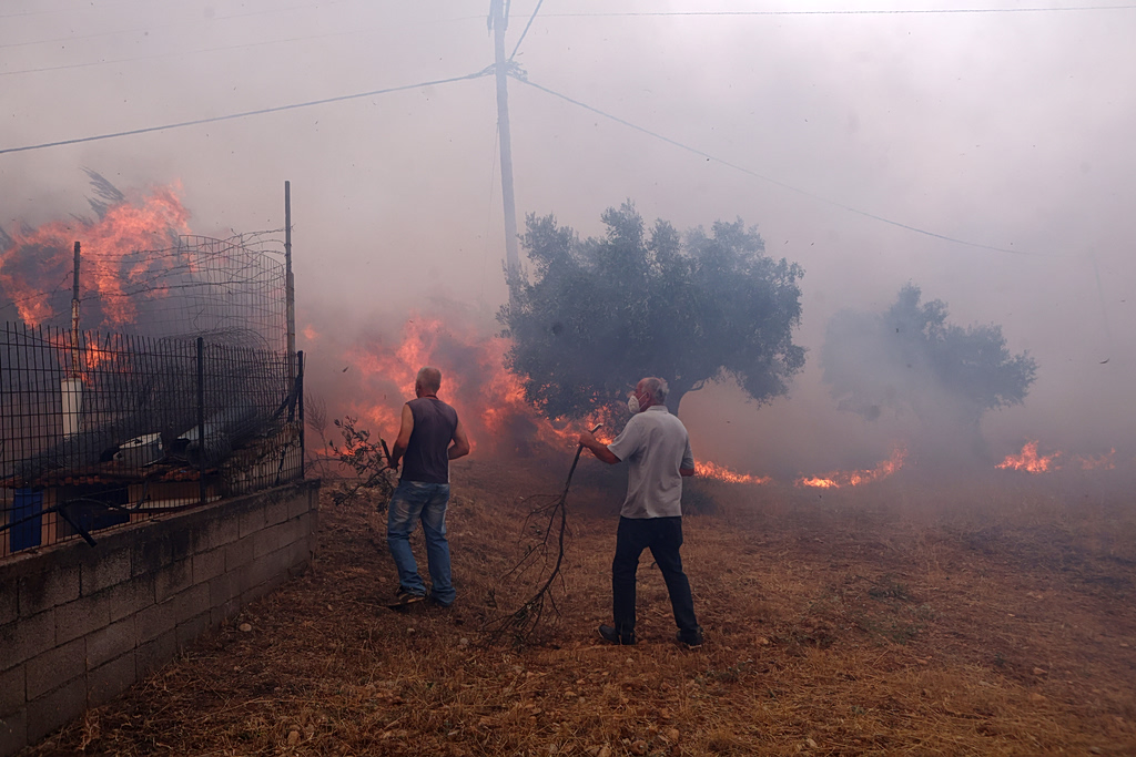Πυρκαγιές: Εφιάλτης σε Αττική και Βοιωτία – Συνεχείς εκκενώσεις οικισμών