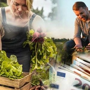 Σχέδια Βελτίωσης: Υπεγράφη η Κοινή Απόφαση με δημόσια δαπάνη 263,5 εκατ. ευρώ