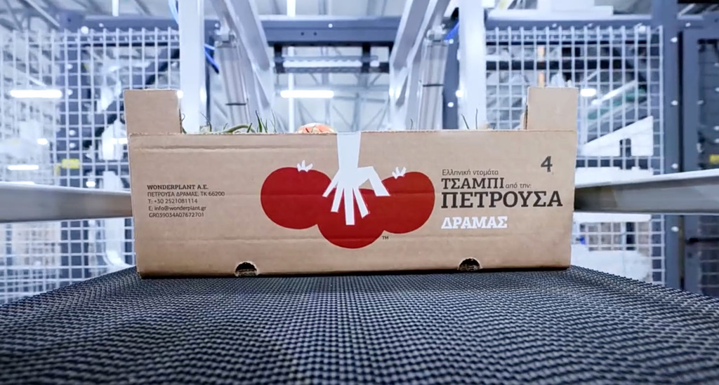 Wonderplant