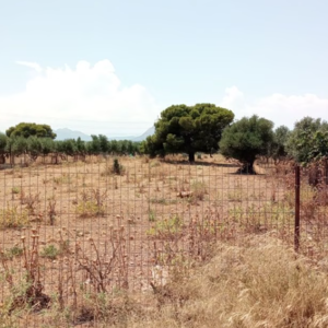 Ακαθάριστα οικόπεδα: Σαρωτικοί έλεγχοι και πρόστιμα