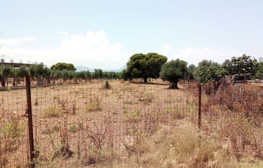 Ακαθάριστα οικόπεδα: Σαρωτικοί έλεγχοι και πρόστιμα