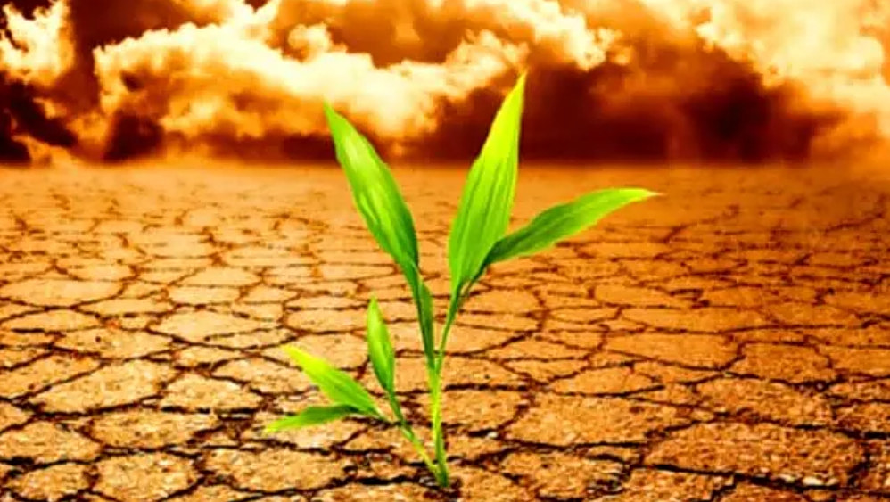 Η μη ανθεκτικότητα κοστίζει περισσότερο