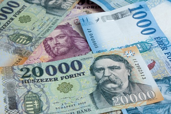 Ουγγαρία: Οι ταύροι στα ομόλογα ποντάρουν στην ένταξη στο ευρώ