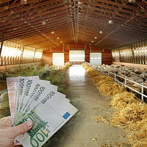 ΥΠΑΑΤ-ΑΑΔΕ: Νέες βελτιώσεις στο myAGRO – Τι ισχύει για τους ΚΑΕΚ – Αλλαγές σε προθεσμίες