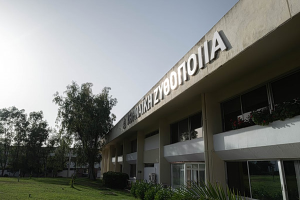 Αθηναϊκή Ζυθοποιία: Με ισχυρό ταμείο απέναντι στην κάμψη της κατανάλωσης – Τα σχέδια για το μέλλον