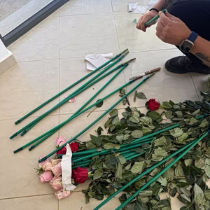ΑΑΔΕ: Επιχείρηση «Τα άνθη του κακού»