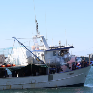 Αλιείς: Συμβολικός αποκλεισμός του λιμανιού της Θεσσαλονίκης – Τι ζητούν